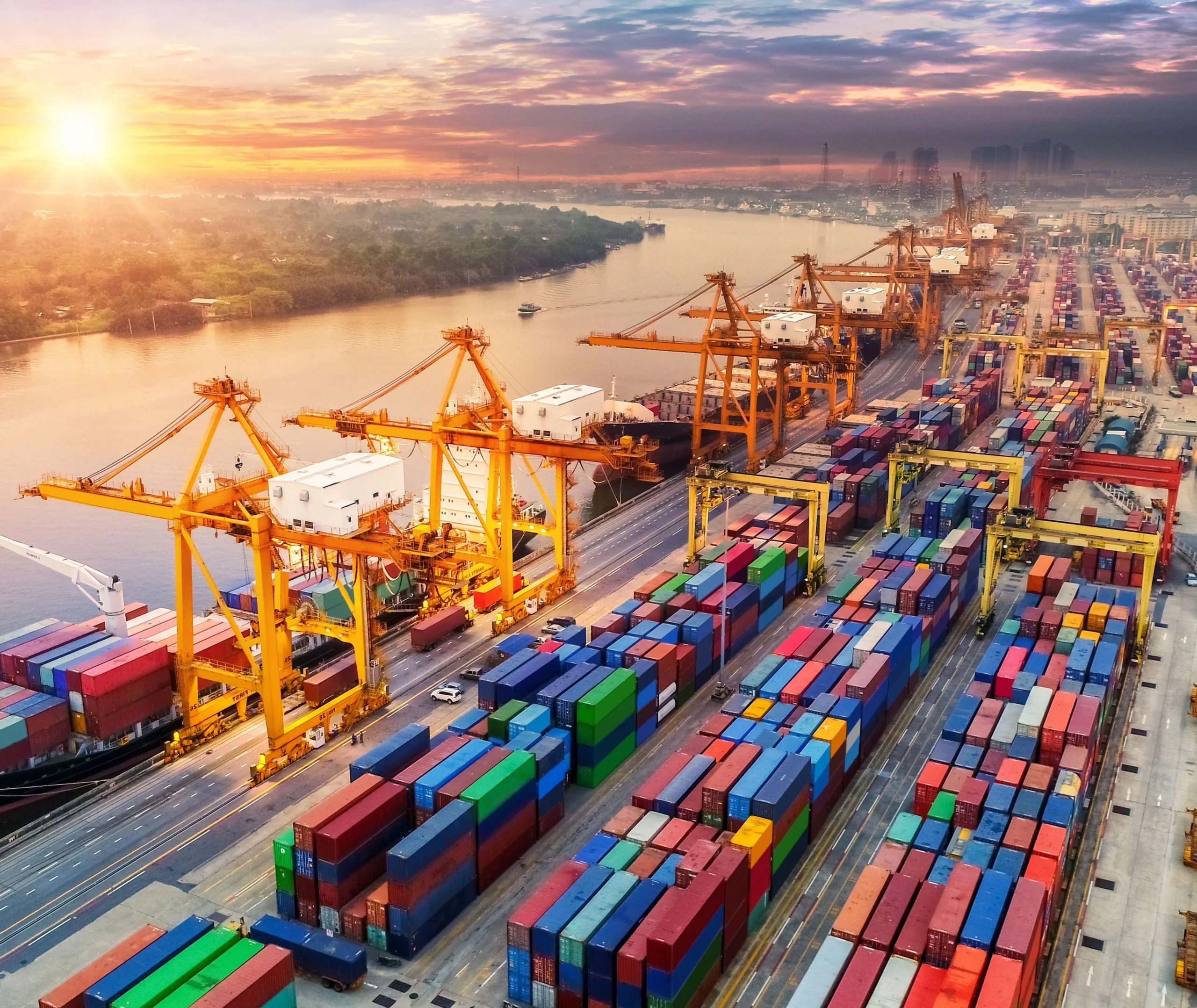 Supply Chain