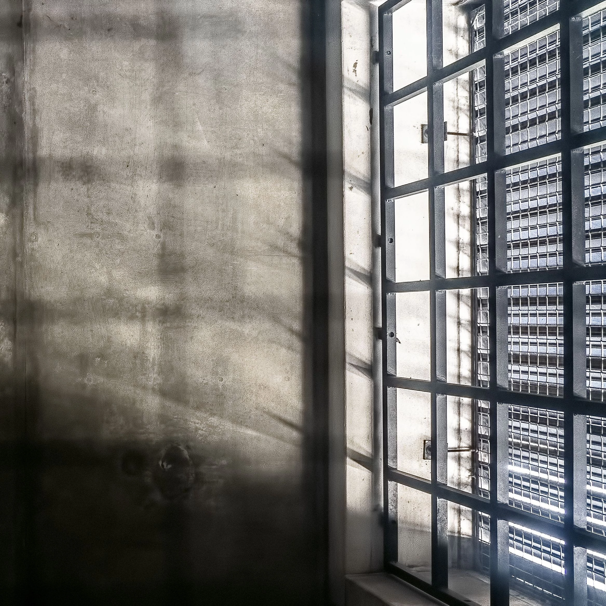 In-Custody Injury