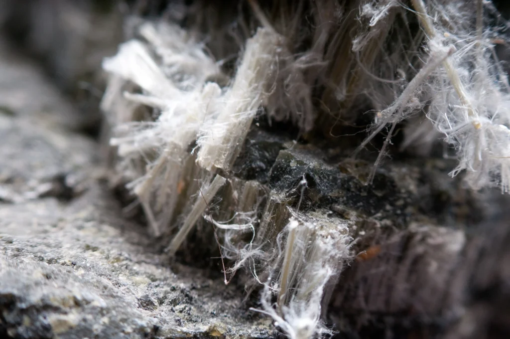 Asbestos & Mesothelioma