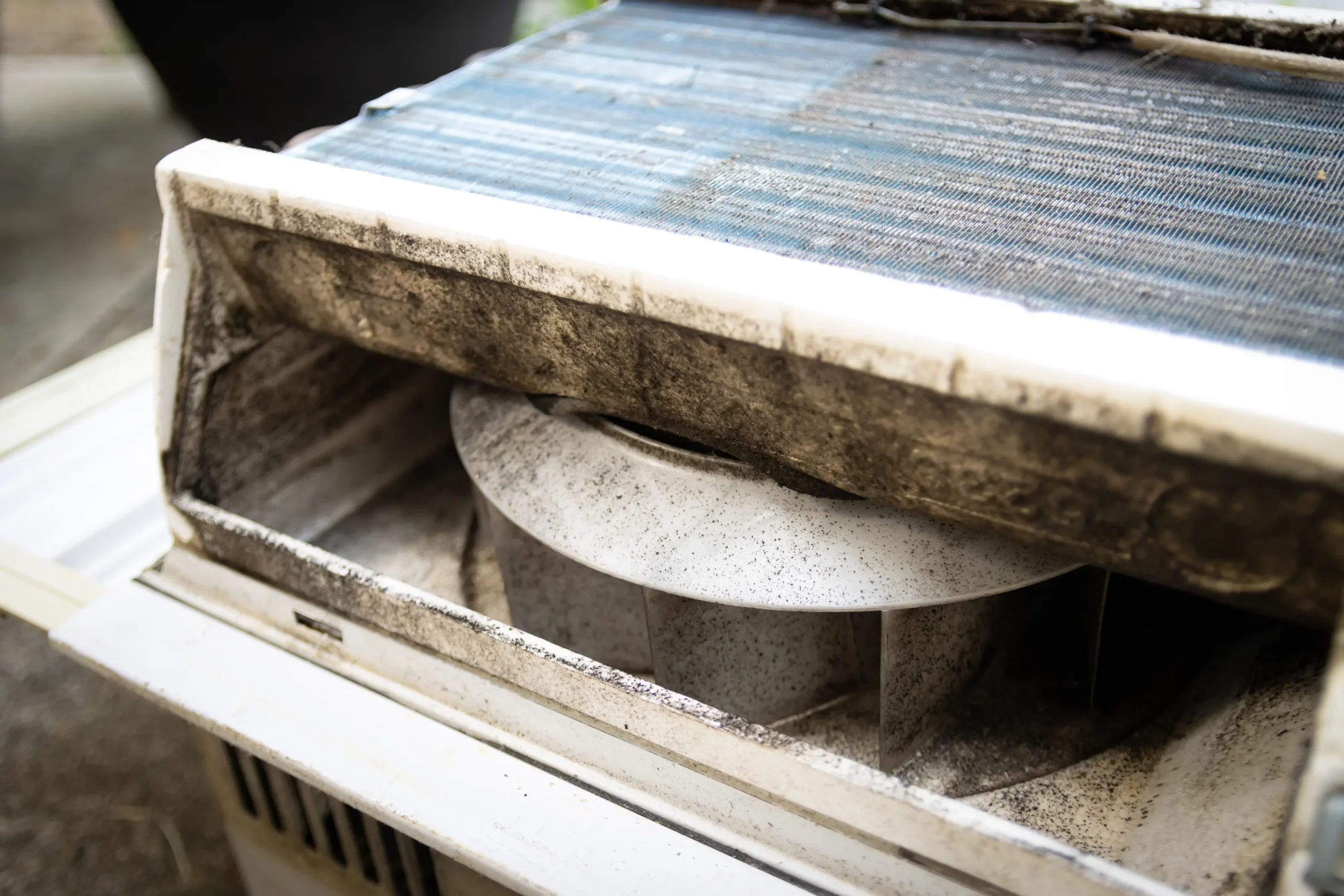 Mold in Air Conditioner