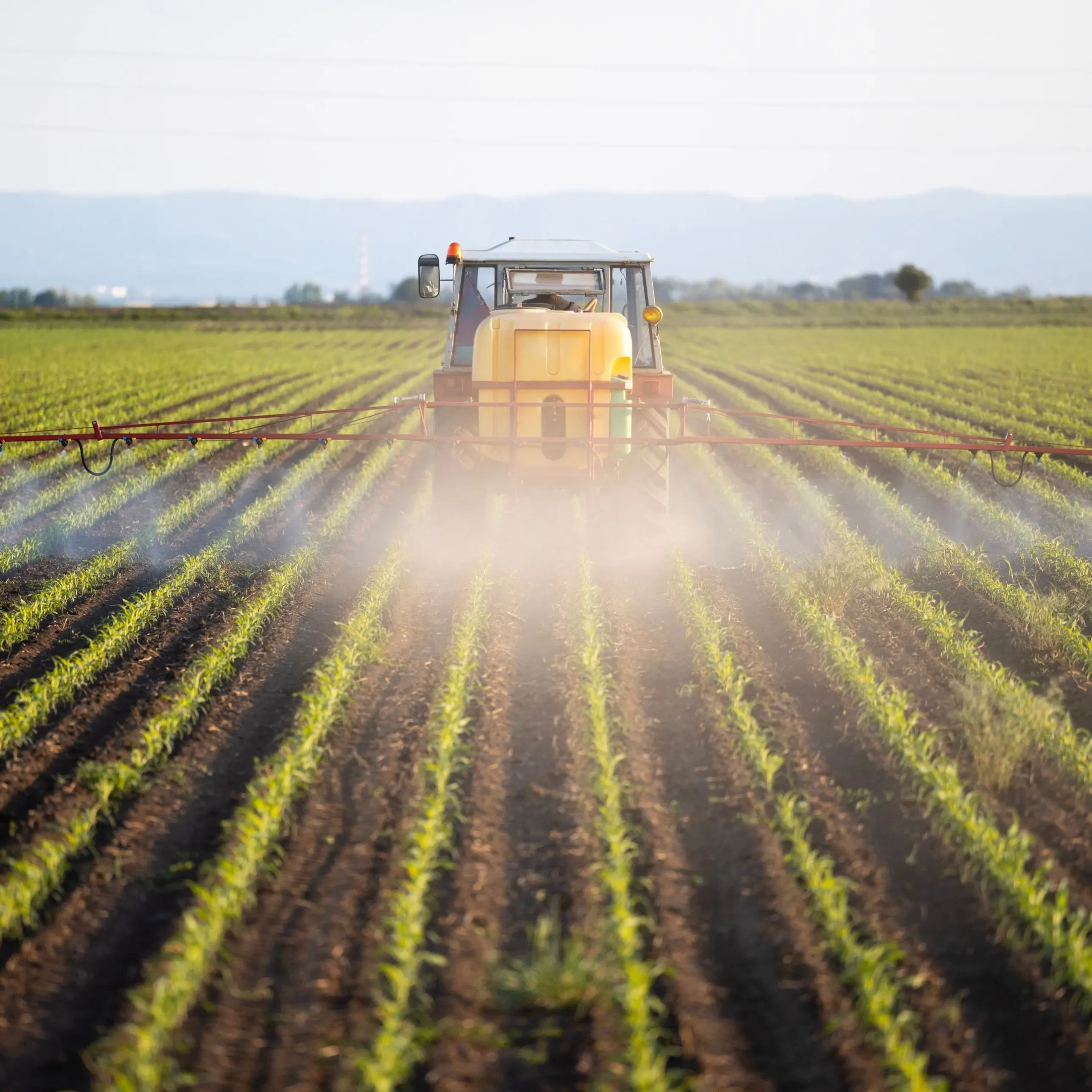 Spraying crops with pesticides and chemicals in the field. stock photo