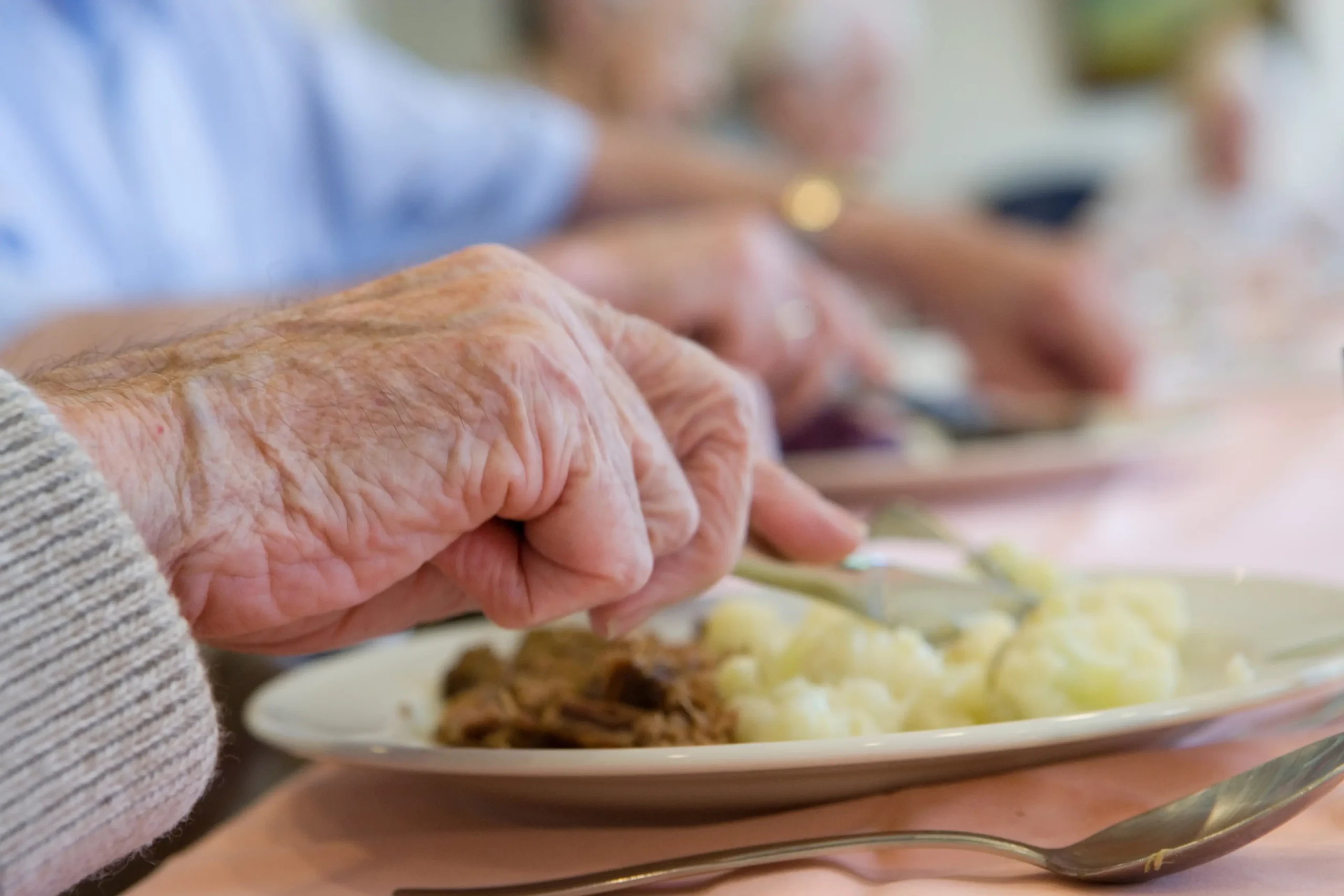 Nursing home food