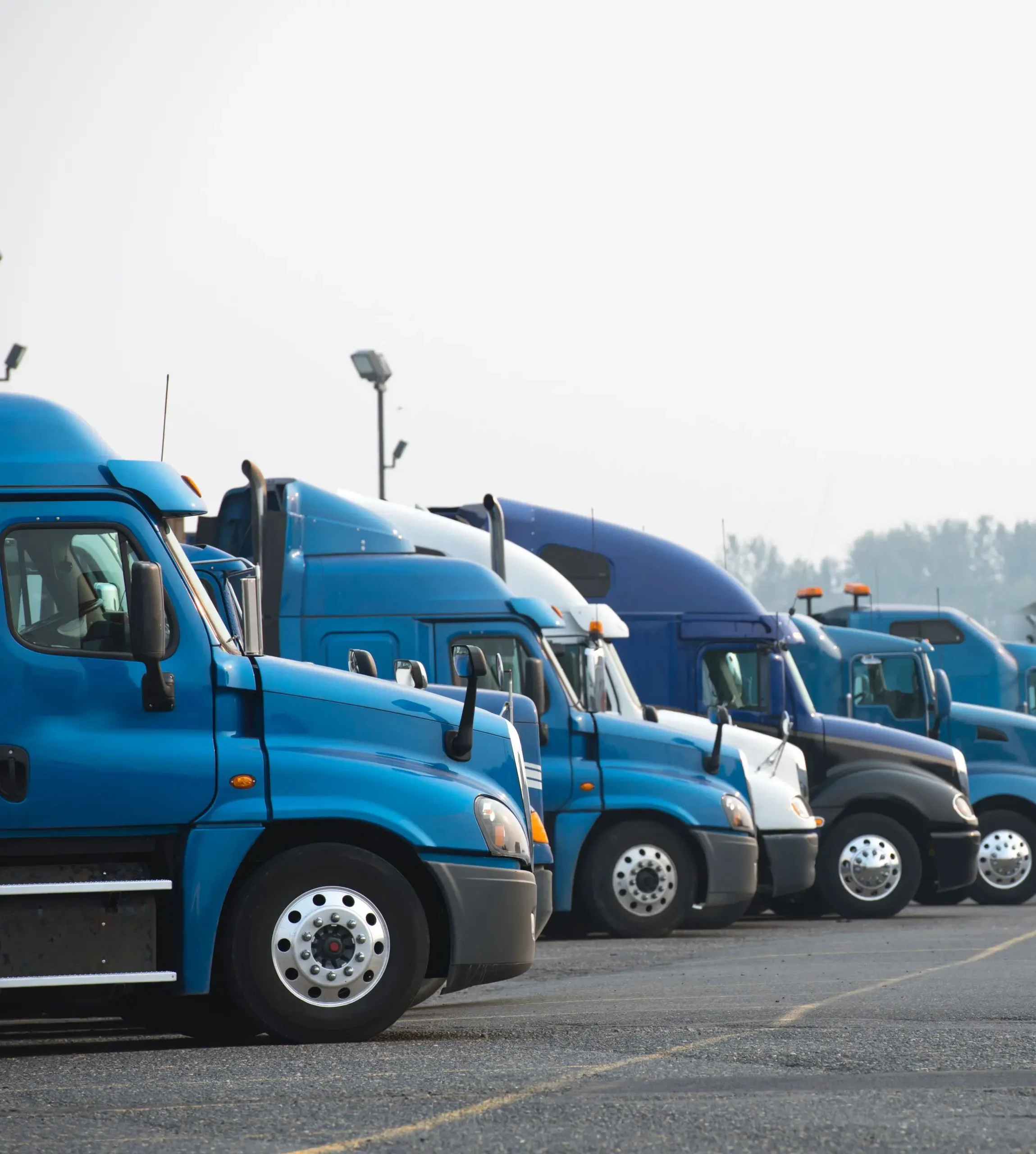 trucks standing in row