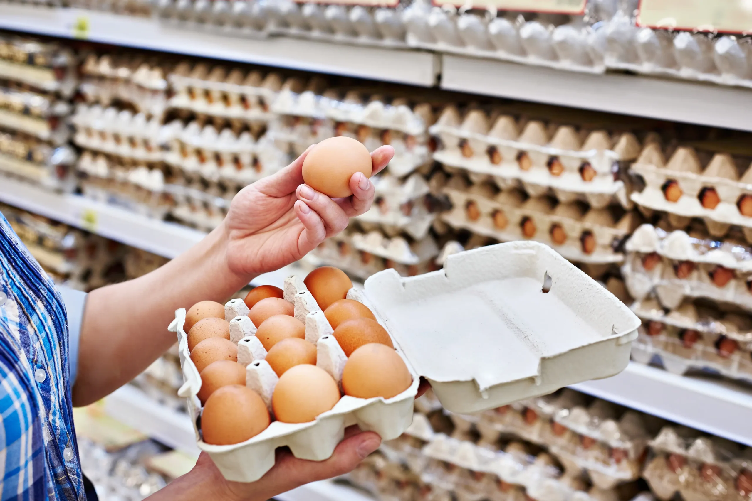 In hands of woman packing egg