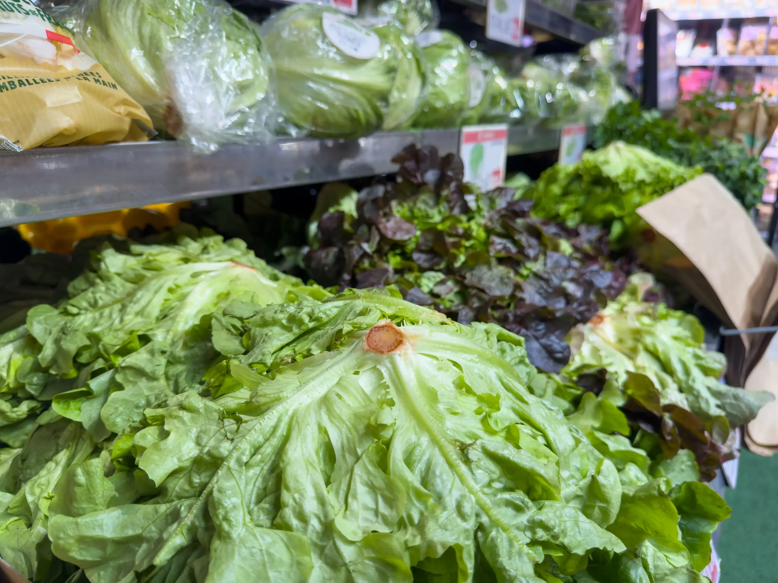 Lettuce in store