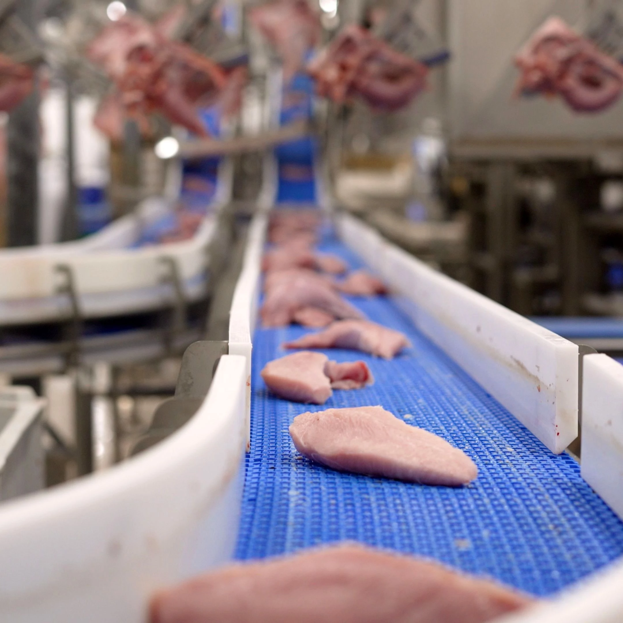 Food processing